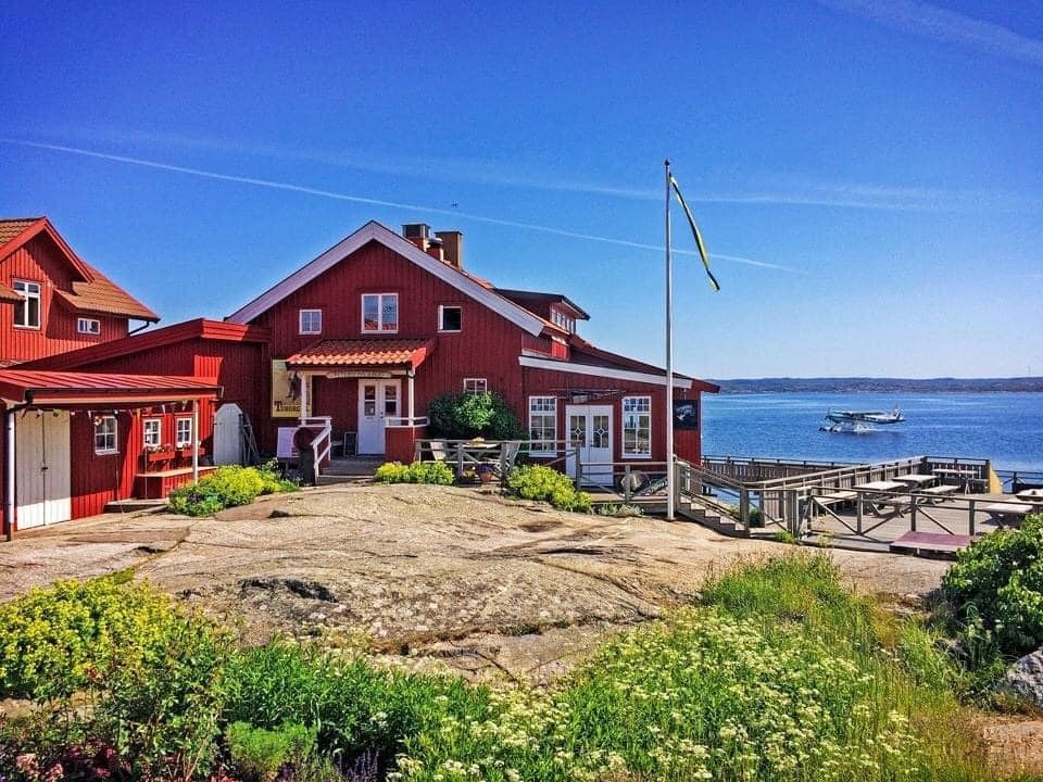 petersons krog ribtours